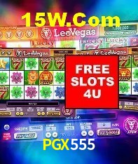 Flash Promotion PGX555